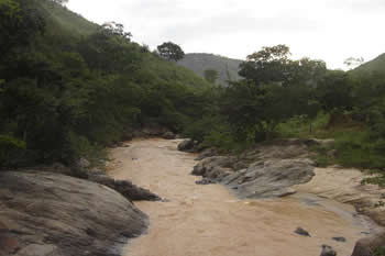 nascguandu.jpg>A Companhia Espírito Santense de Saneamento (Cesan), em parceria com o Instituto Terra e o Consórcio da Bacia Hidrográfica do Rio Guandu, começa, a partir deste mês, a execução do projeto “Gestão Ambiental e Recuperação das Nascentes e Florestas do Rio Guandu”, com recursos no valor de R$ 500 mil disponibilizados pelo Fundo Nacional de Meio Ambiente.</span></p>
<p><span id=
