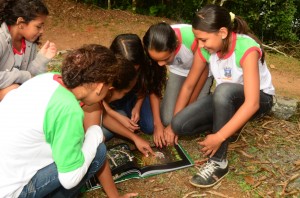 Iniciativa desenvolvida com crianças de 1ª a 5ª série com atividades de educação ambiental. Fotos: Divulgação