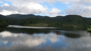 A Reserva Biológica de Duas Bocas, situada em Cariacica, é uma área importante para o Estado devido aos seus recursos hídricos. Foto: Dani Klein
