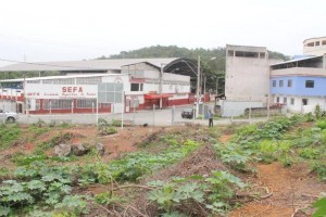 Areá do Parque Natural Municipal Morro da Mantegueira que será reflorestado pela Companhia 