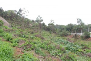 Parque Natural Municipal Morro da Mantegueira