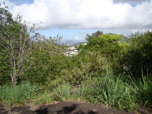Vista parcial do Parque Municipal Marista.