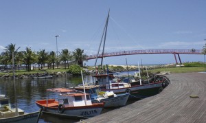 CIMG0381
