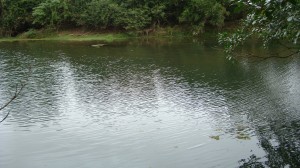 RIO SAO JOSE - VILA VALERIO 5