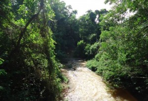 Rio Mangaraí durante visita do especialista em recursos naturais, Henrique Lobo.